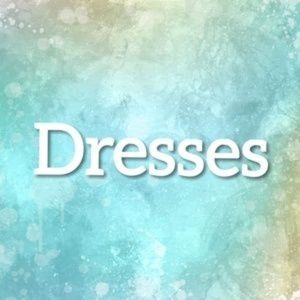 Dresses Closet Divider